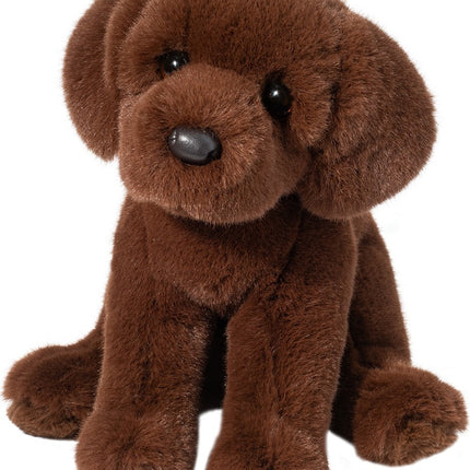 Zoom Chocolate Lab