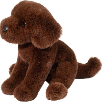 Zoom Chocolate Lab