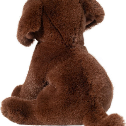 Zoom Chocolate Lab