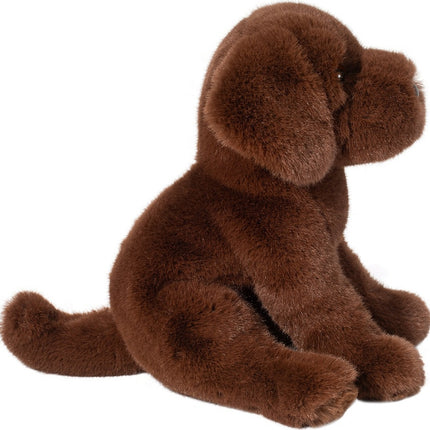 Zoom Chocolate Lab