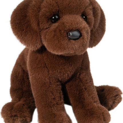 Zoom Chocolate Lab