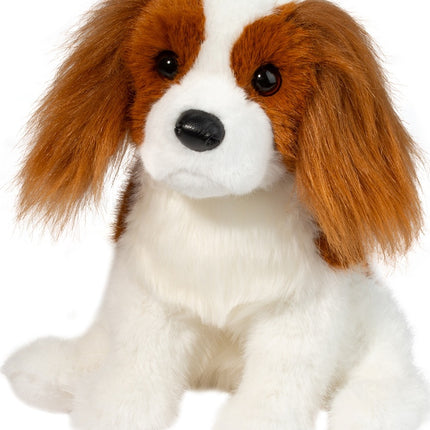 Kingsley Cavalier King Charles Spaniel