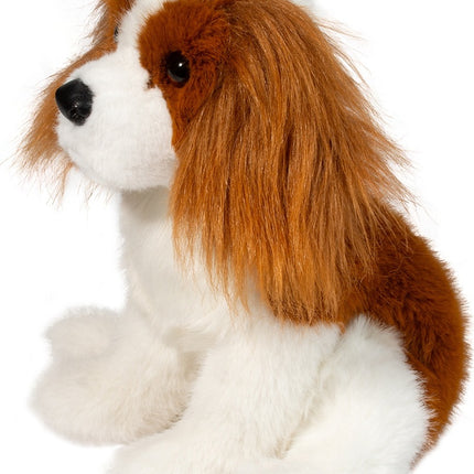 Kingsley Cavalier King Charles Spaniel