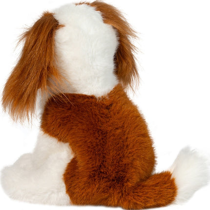Kingsley Cavalier King Charles Spaniel