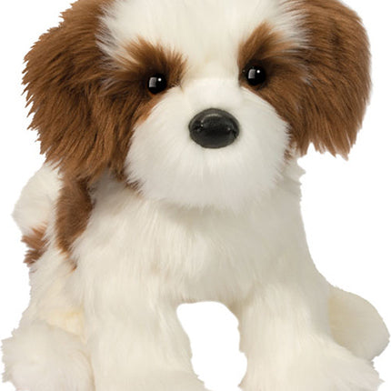 Farren Shih Tzu