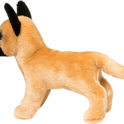 Klaus Belgian Malinois