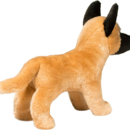 Klaus Belgian Malinois