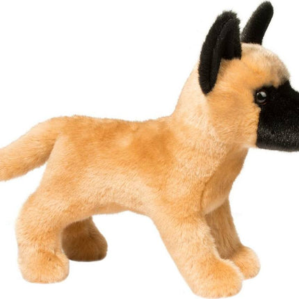 Klaus Belgian Malinois