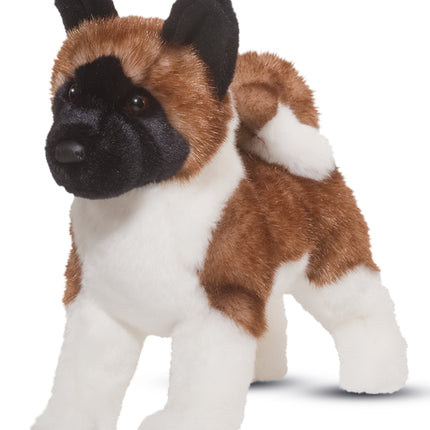 Kita Akita