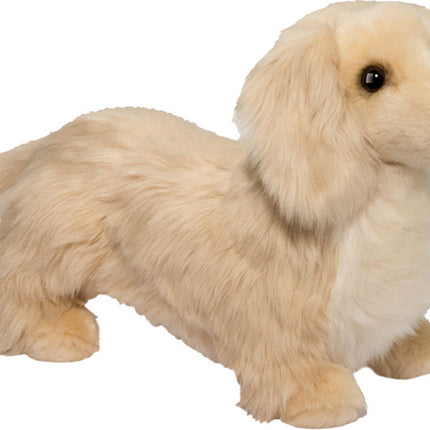 Haisley Golden Dachshund