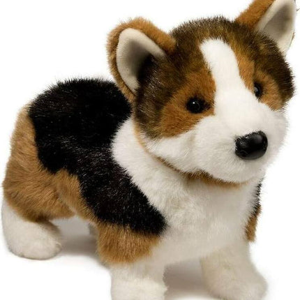 Kirby Tri-Colored Corgi