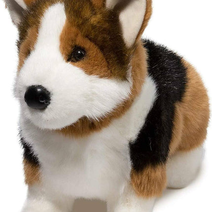Kirby Tri-Colored Corgi