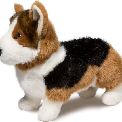 Kirby Tri-Colored Corgi