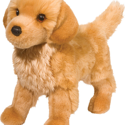 King Golden Retriever