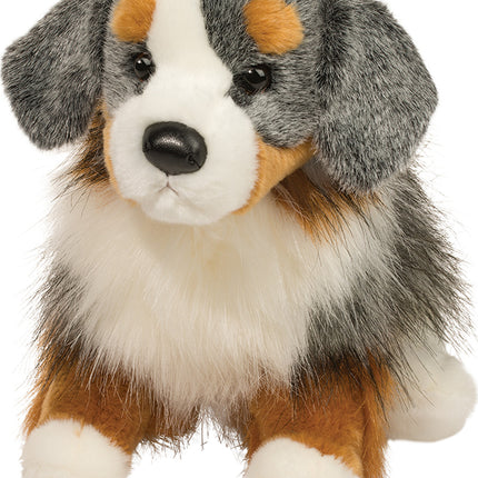 Sinclair Australian Shepherd