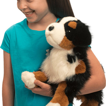 Trevor Bernese Mountain Dog