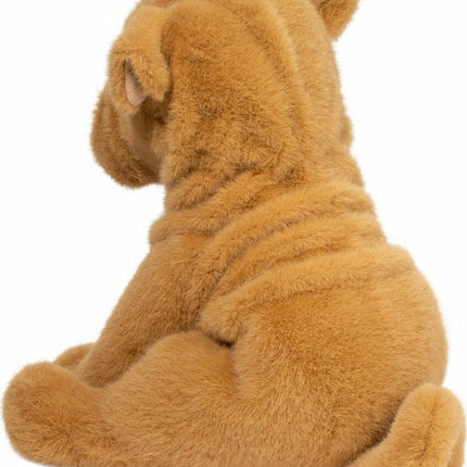 Tater DLux Shar Pei