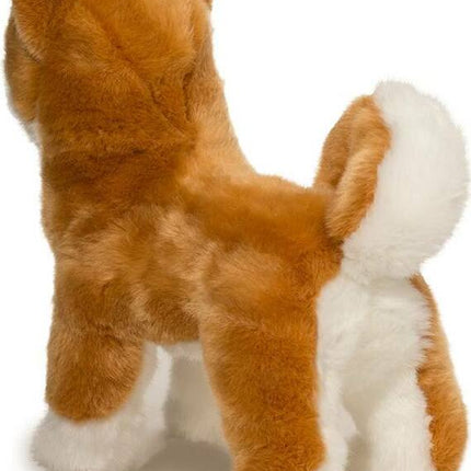 Dunham Shiba Inu