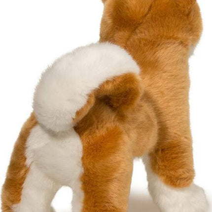 Dunham Shiba Inu