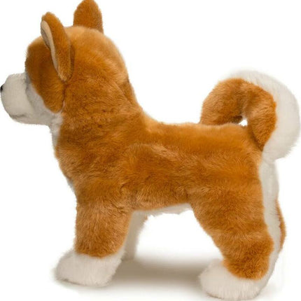 Dunham Shiba Inu