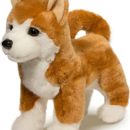 Dunham Shiba Inu