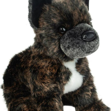 Billie French Bulldog