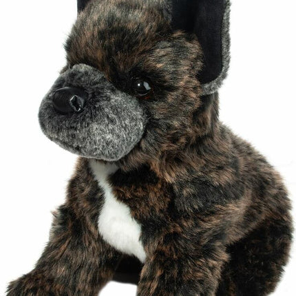 Billie French Bulldog