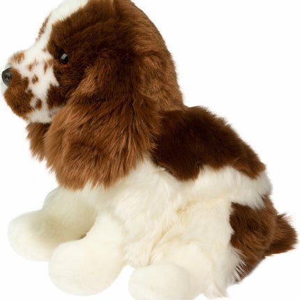 Chip Springer Spaniel