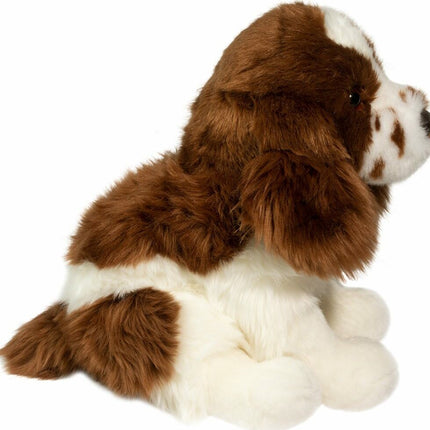 Chip Springer Spaniel