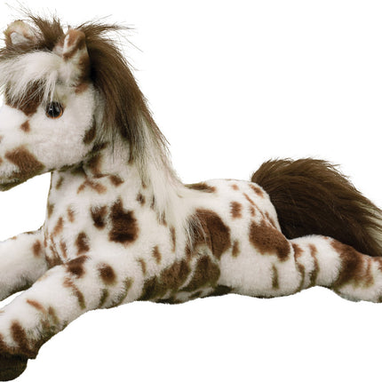 Duke Appaloosa Horse