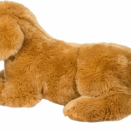 Sherman Golden Retriever, Medium