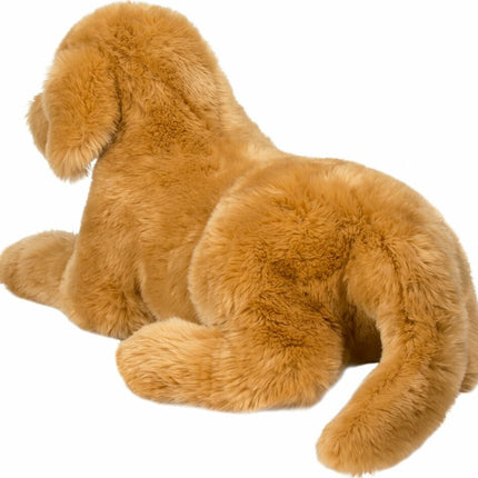 Sherman Golden Retriever, Medium