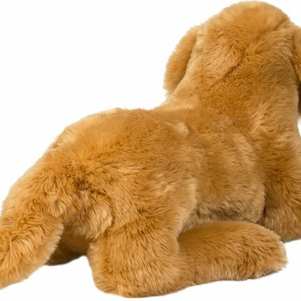 Sherman Golden Retriever, Medium
