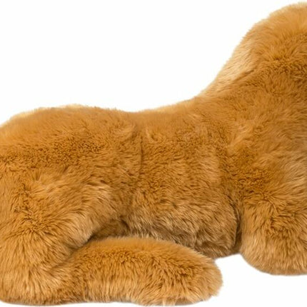 Sherman Golden Retriever, Medium