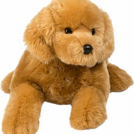 Sherman Golden Retriever, Medium