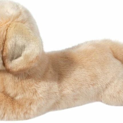 Lettie DLux Yellow Lab