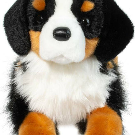 Trooper DLux Bernese Mountain Dog