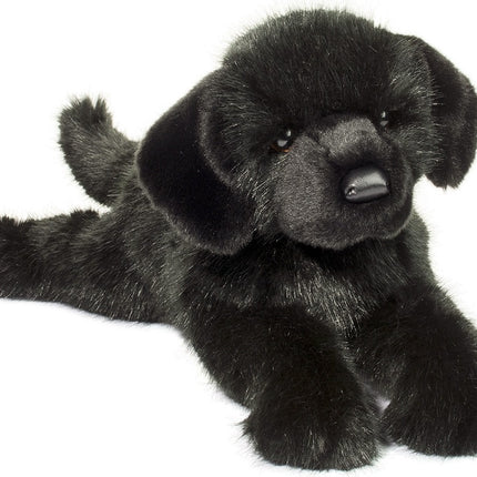 Jake DLux Black Lab