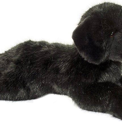 Jake DLux Black Lab