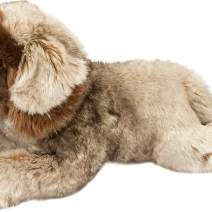 Thor Leonberger