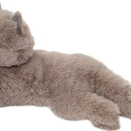 Juliette Persian Cat
