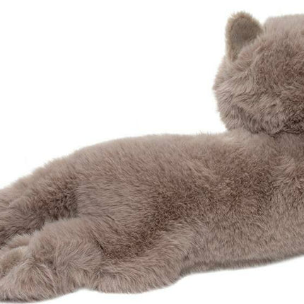 Juliette Persian Cat