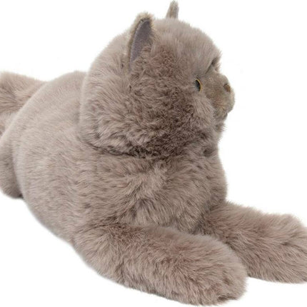 Juliette Persian Cat