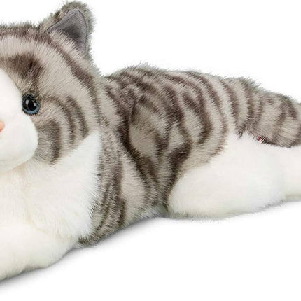 Smokey Gray Cat