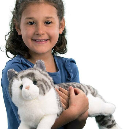 Smokey Gray Cat