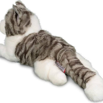 Smokey Gray Cat