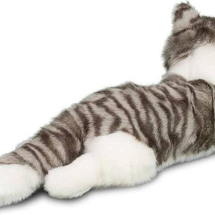 Smokey Gray Cat