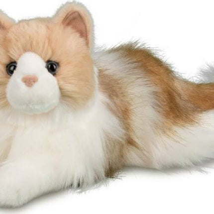 Kiki Ragdoll Cat