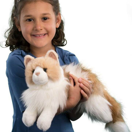 Kiki Ragdoll Cat