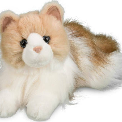 Kiki Ragdoll Cat